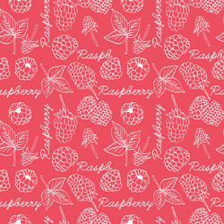 raspberry graphic color seamless pattern vector image