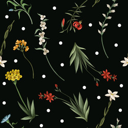 Seamless pattern with thin meadow flowers and dots vector