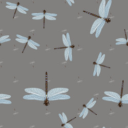 seamless pattern with dragonfly s and dandelion vector image