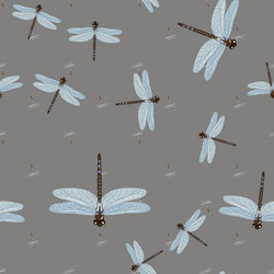 Seamless pattern with dragonfly s and dandelion vector