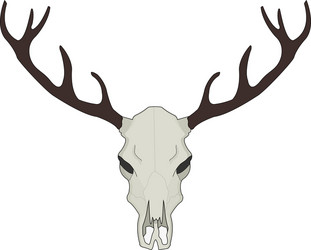 Deer Skull with Antlers Vector Image