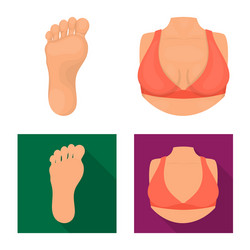 isolated object body and part symbol set vector image