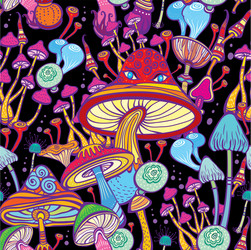 seamless patterns with decorative mushrooms vector