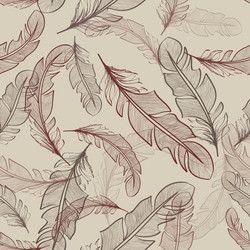 Seamless pattern of bird feathers vector