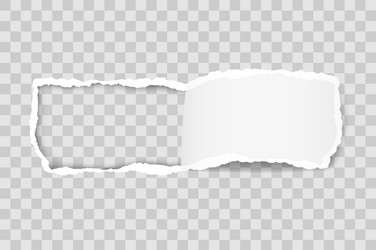 torn paper edge for design with transparent space vector image