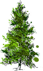Pine Tree Sketch vector image