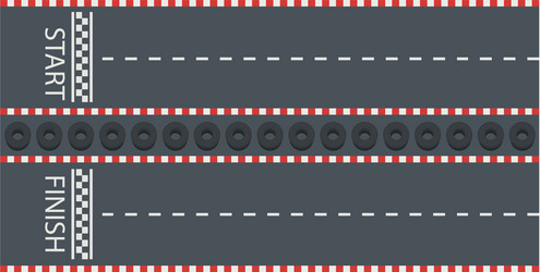 road with start and the finish line vector image