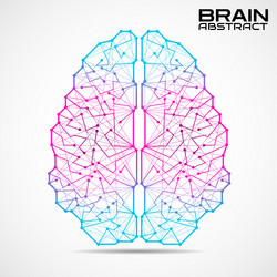 polygonal abstract brain with connected lines vector image