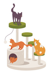 various cat playing on scratching post isolated vector