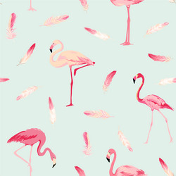 Flamingo Feather Seamless Pattern vector image