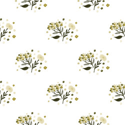 isolated seamless pattern with botanic yarrow vector image