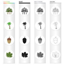 a group of trees in the forest palm tree vector