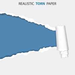 torn hole on paper vector image