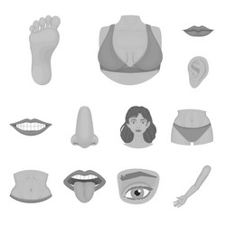 Body and part icon set vector