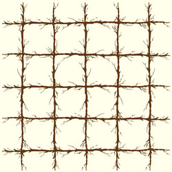 Branch Line Square Pattern vector image