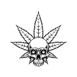 skull with marijuana leaf design element for logo vector