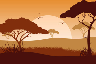 African safari landscape vector