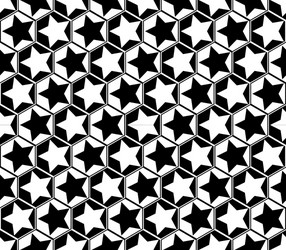 Monochrome Star Geometric Pattern vector image