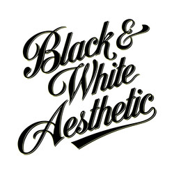 typography elegant script font black and white vector image