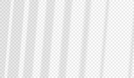 window shadow effect with blindes vector image