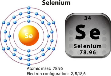 symbol and electron diagram for selenium vector