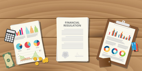 Financial Data and Documentation vector image