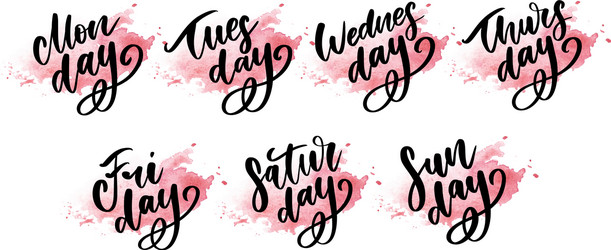 Handwritten week days and symbols set ink font Vector Image