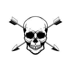 skull with crossed arrows design element vector image
