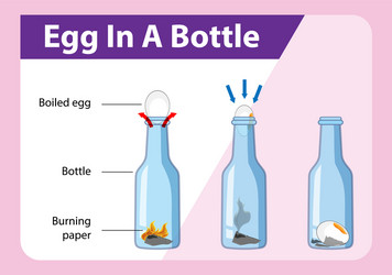 Egg in Bottle Science Experiment vector image