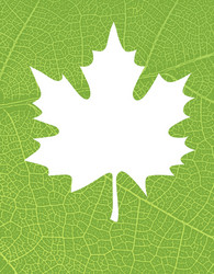 nature background with free space for text vector image