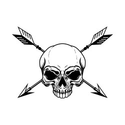 skull with crossed arrows design element vector image