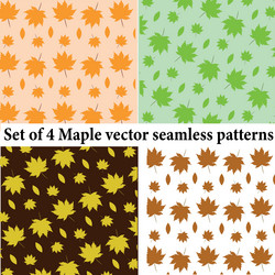 collection set of maple seamless patterns vector