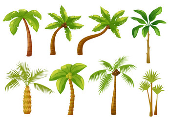 Cartoon Tropical Palm Trees Vector Image