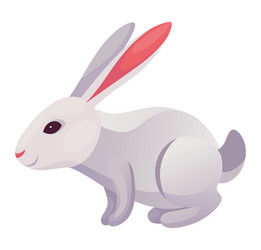 rabbit animation icon bunny jump or running vector