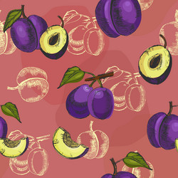 Seamless pattern with different plums vector