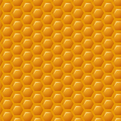a natural background with honeycombs vector image