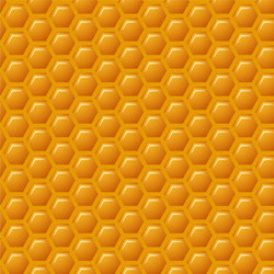 a natural background with honeycombs vector