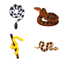 Design snake and creepy symbol set vector