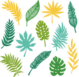 Set tropical leaves Royalty Free Vector Image - VectorStock