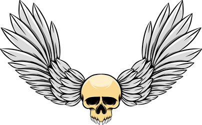 hand draw feather wings and skull Vector Image