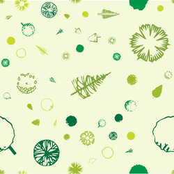 streamless pattern with trees topographic i vector image