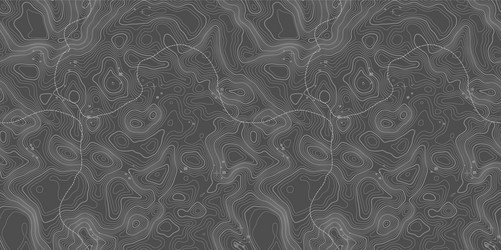 seamless pattern topographic map background vector image