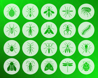 Danger insect color silhouette icons set Vector Image