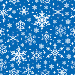 Winter Snowflake Pattern vector image