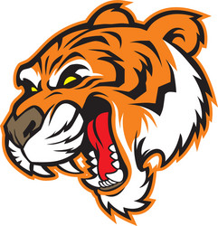 Cartoon Tiger Mascot Head Vector Image