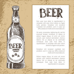 bottle of beer in ink hand drawn style vector