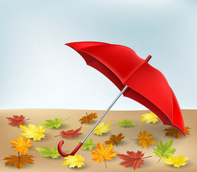 autumn frame with umbrella and leaves vector