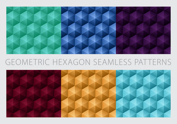 Geometric Hexagon Patterns vector image