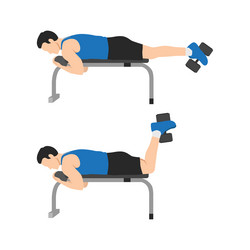 man doing dumbbell hamstring curl on bench vector image