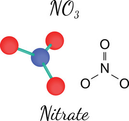 Nitrate Molecule 3D Structure vector image